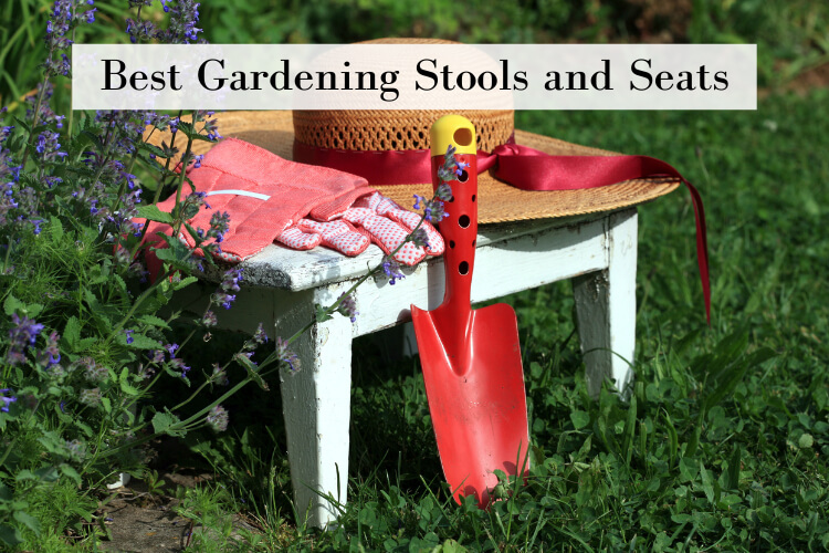 Blog post about the best gardening stools and seats for comfortable outdoor work.