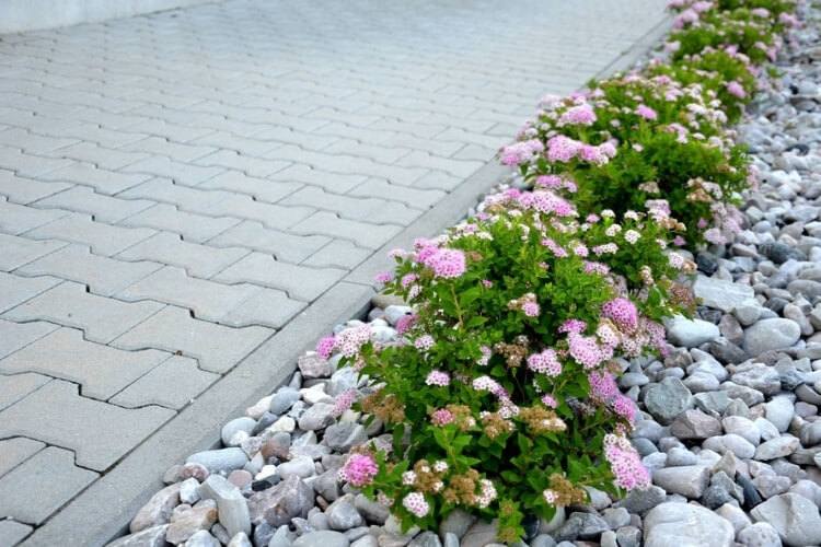 Rock mulch with flowers growing out of them.