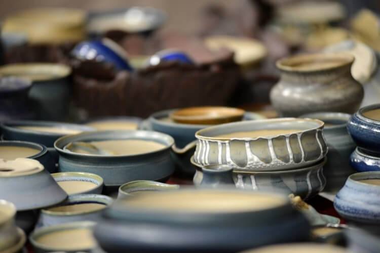 11 Best Bonsai Pots for 2022