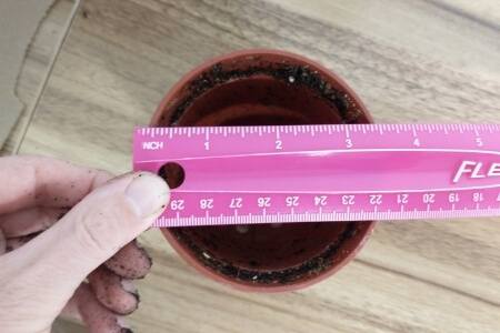 A starter plant pot that's 3.5 inched in diameter.