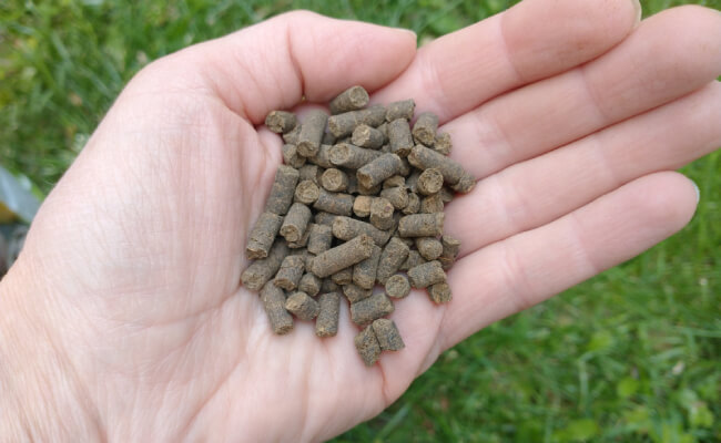 A gardener holds a handful of granular fertilizer pellets.